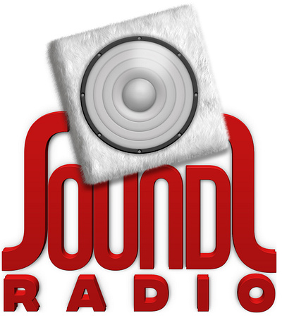 Sounds Radio Logo Graphic 3d branding design graphic design illustration logo typography