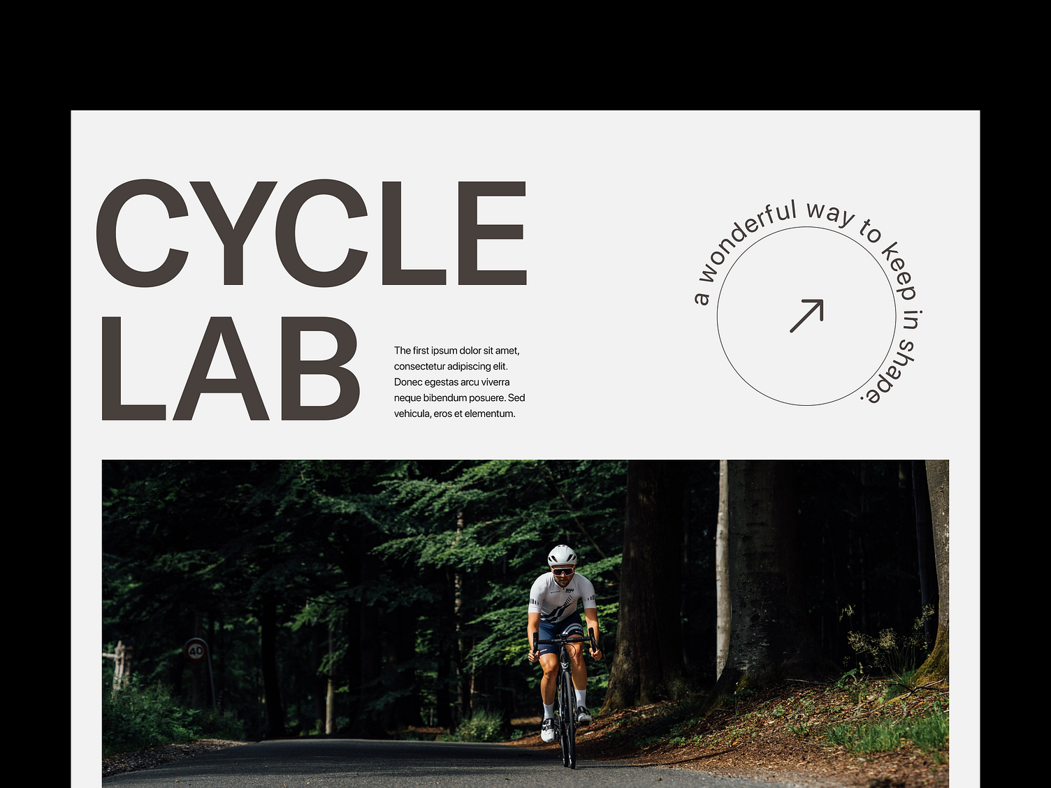 cycle lab sale