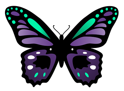 Butterfly Vector Graphic in Adobe XD adobe xd butterfly cassclarity cassclarity design graphic vector vectorart xd