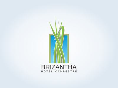 BRIZANTHA LOGO DRIBBLE brand branding branding and identity branding concept branding design design diseño grafico logo