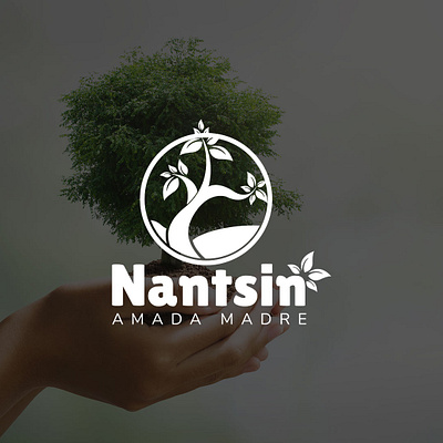 Nantsin branding design flat design flat illustration illustration logo logodesign logotype vector