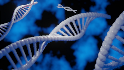 DNA Skeleton Design blender blender 3d blender3d blender3dart design design3d designdaily dna dribbbleindia eeveerender illustration protein