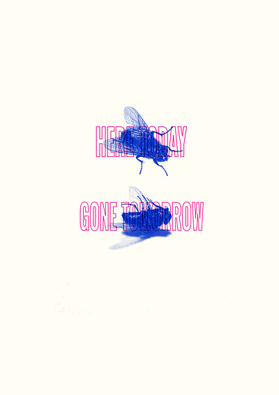 Here today, gone tomorrow collage design fly graphic design halftone illustration riso risograph risography texture typography