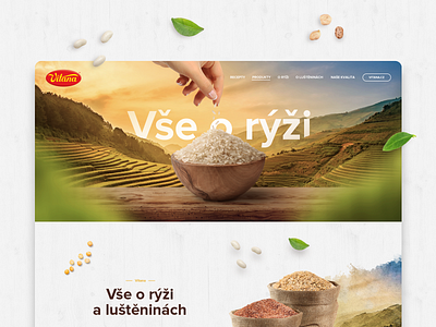 All About Rice – Vitana art bio food harvest history illustration leaf microsite nature playful recipes rice website