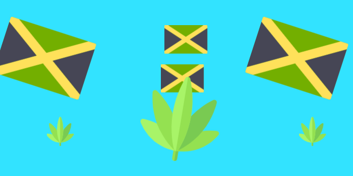 Example of Jamaica Pattern Design