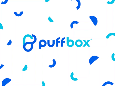 Puffbox Branding and Web Design in Animated Presentation 2d adobe illustrator animation brand guidelines brand identity branding cloud hosting cloud storage company design designer graphic design illustration landing page design logo saas company startup technology typography vector