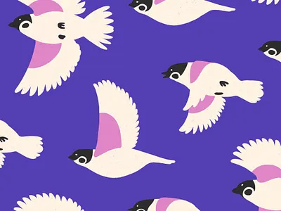 Birds birds color palette illustration procreate sparrow