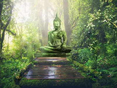 Une impression de déjà vu boy creation design effects fond écran graphics nature pierre