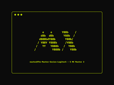 MX Terminal ascii art ibm plex terminal terminal design typography