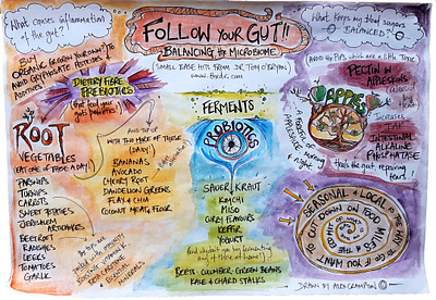 Follow Your Gut - Colour fermentation food foodie gut handdrawn health illustration infographic inforgraphics microbiome organic organic art