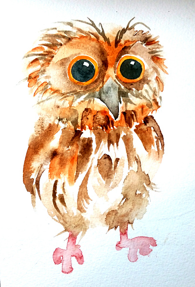 Baby Owl handdrawn nature illustration watercolour watercolour illustration