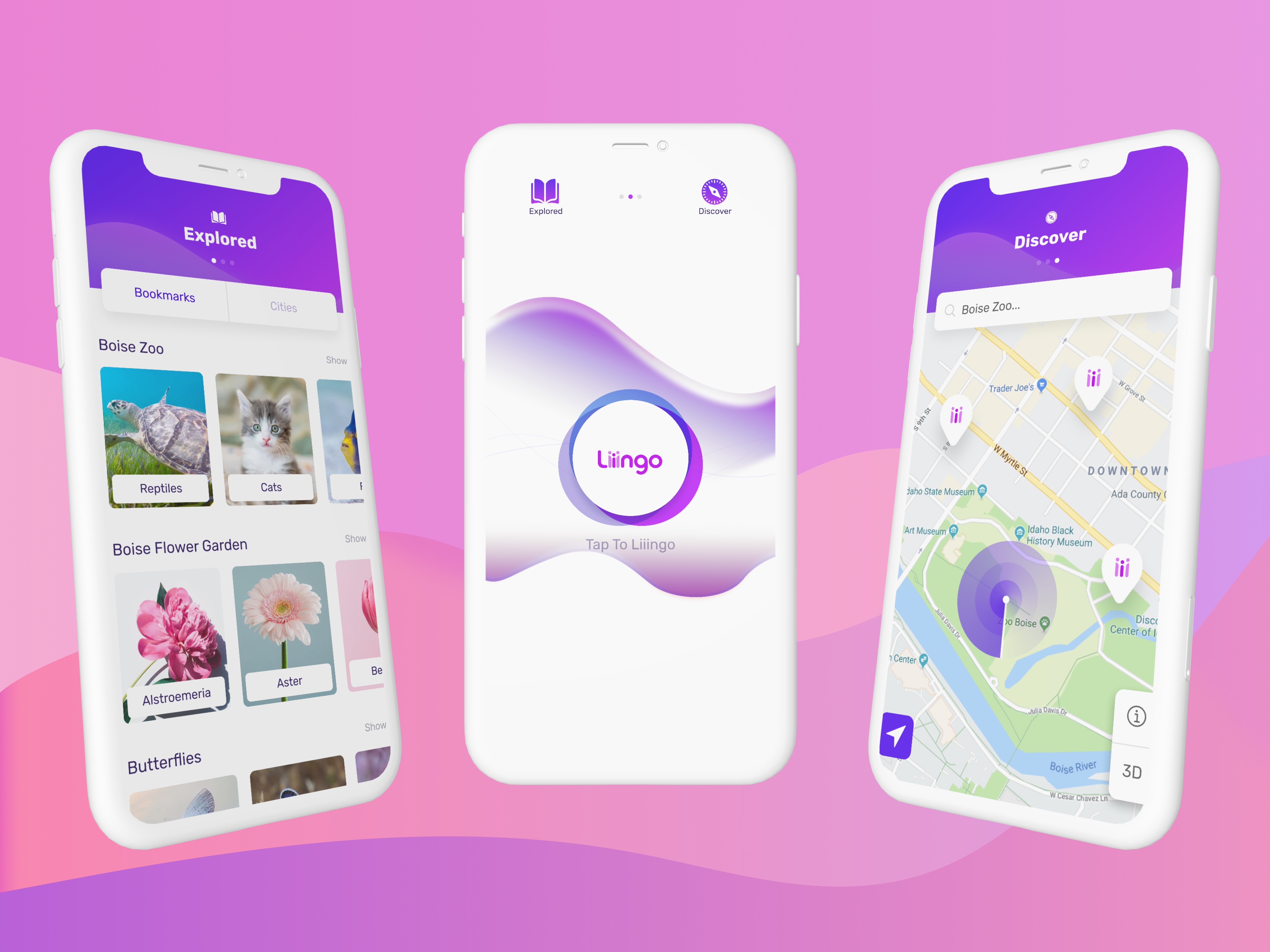 Example of Liiingo Mobile Concept