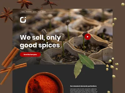 Spices Export Website brown design floating illustration landing landing page minimal spices ui ui ux video web website