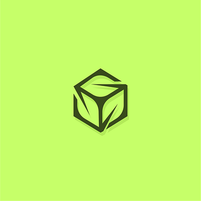 Leaf Box art branding design icon illustration illustrator logo vector
