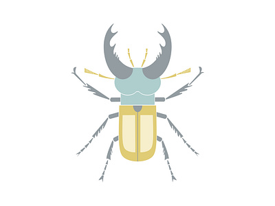 Stag beetle beetle bug design flat hello dribbble hellodribbble horn illustration insect minimal stag beetle stamp vector