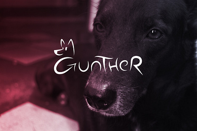 Gunther Logo dog dog logo graphic design logo vector