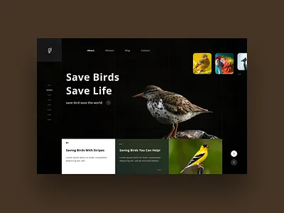 Bird trust website design concept. clean design design flat landingpage minimal simple design typography ui design uiux ux design webdevelopment