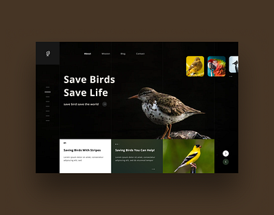 Bird trust website design concept. clean design design flat landingpage minimal simple design typography ui design uiux ux design webdevelopment