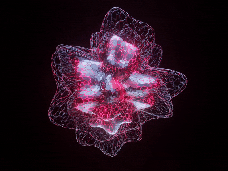 Wireframe Abstract Motion Art 3d art 3d artist 3d modeling 3danimation b3d blender blender 3d blender3d blender3dart c4d c4dfordesigners design dribbbleindia eeveerender motion animation motion design motion graphics motiongraphics organic art