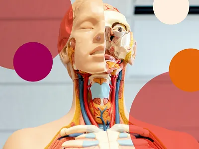 Neo-Mundo brand update: visual style brand update branding clean colorful design design studio dots graphic design health healthcare neo mundo orange playful purple rebranding visual style