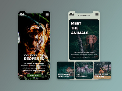 ZSL Concept Mobile concept design mobile ui