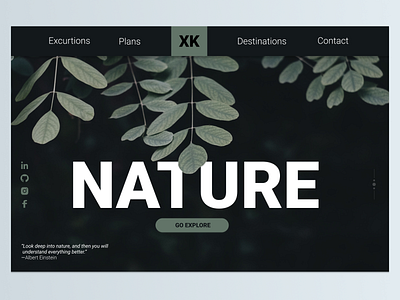 Nature web design graphic design ui