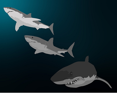 Great white shark animal background design graphicdesign illustration underwater wallpaper