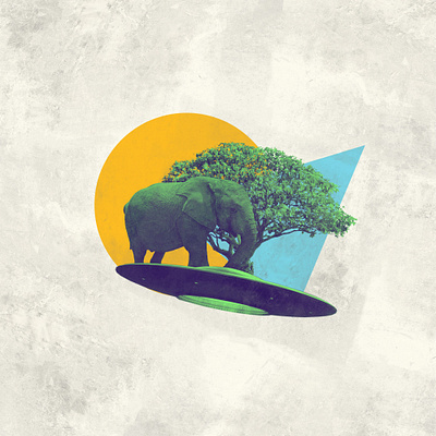 Dream Of An Elephant animal art collage collage art design digitalart illustration manipulation modern