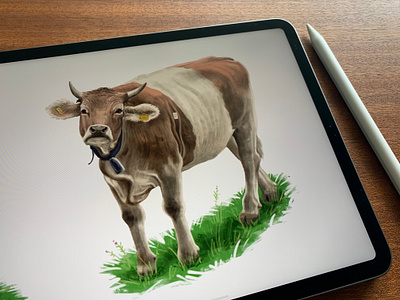 cO_Ow 1 🐄 cow drawing illustration illustration art illustrator ipad pro ipadpro ipadproart pankaj juvekar procreate procreate art procreateapp switzerland