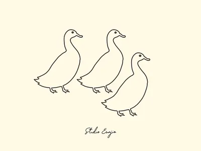 Together 2 animal animal illustration applepencile art australia dailydrawing digital illustration ducks family friend friendship illustration ipadpro ivory lifedrawing love nature procreate siblings soulmates