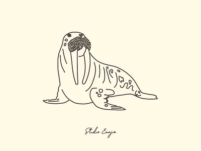 Walrus portrait animal illustration applepencile art australia dailydrawing digital illustration earth illustration ipadpro ivory lifedrawing line illustration love minimalism illustration minimalismart nature procreate strokeillustration warlus wildlife