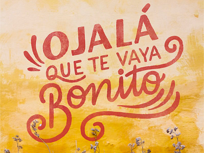 Que te vaya bonito colors design lettering lettering art letters procreate procreate art procreateapp typography