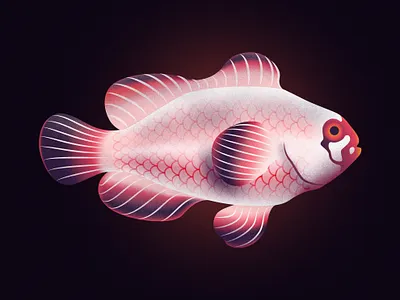 Gold nugget maroon clownfish design fish fishes illustraion illustration illustrator noise noise shadow series vector
