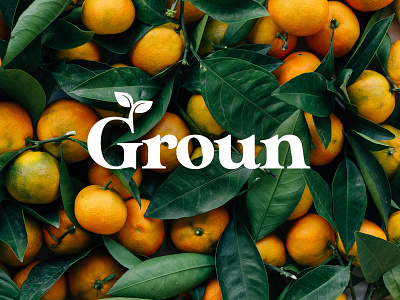 Groun | Organic natural fruit juice branding concept design juice logo natural organic typography