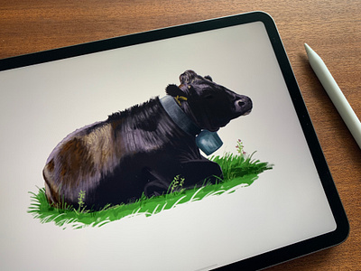 cO_Ow 2 🐄 cow cows illustration illustration art illustrator ipadpro ipadproart pankaj juvekar procreate procreate art procreateapp switzerland