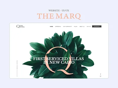 The Marq - Website design prototype typography ui ui design ui8 uiux web webdesign website