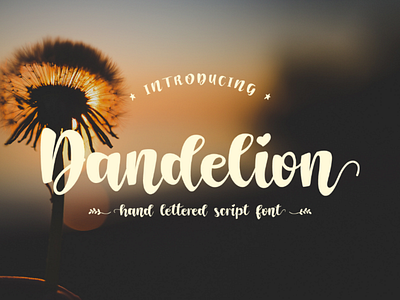 Dandelion alphabet brush calligraphic calligraphy design drawn font hand handwritten lettering modern script sign style symbol text type typeface typography vector