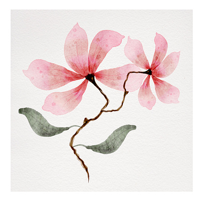 Magnolia! adobefresco app design digitalpainting graphicdesign illustration minimal procreate surfacedesign web