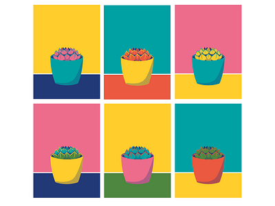 Echeveria colourways adobe illustrator bright colors digital illustration echeveria halftone illustration limited colour palette plant illustration succulents vector