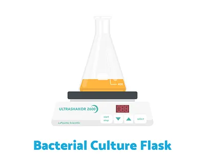 Week16 - Culture flask biology illustration lab sciart scicomm science vector