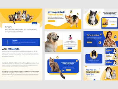 Pet Adoption Web Banner Ui banner banner design banners pet pet adoption website pet banner shopify banner social social media banner ui design ux web banner web ui