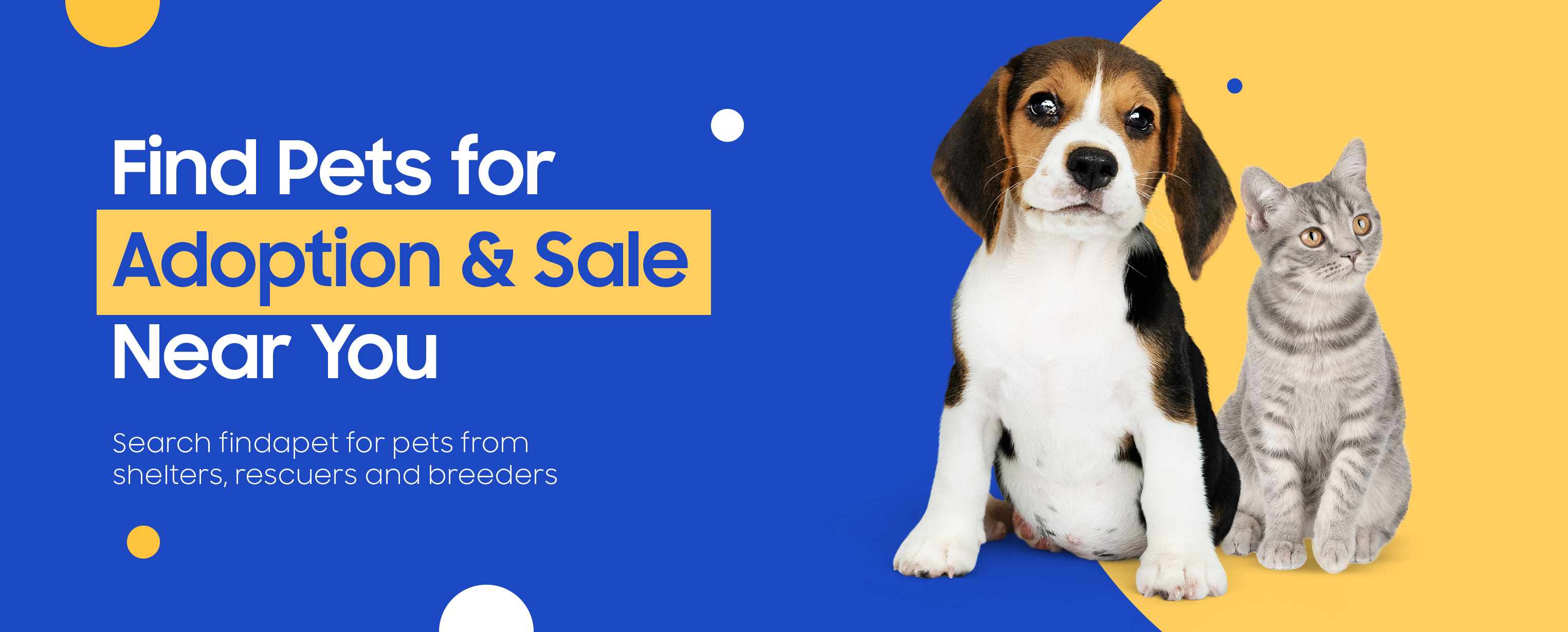 Pet Adoption  Banner Ui by Bannerly on Dribbble