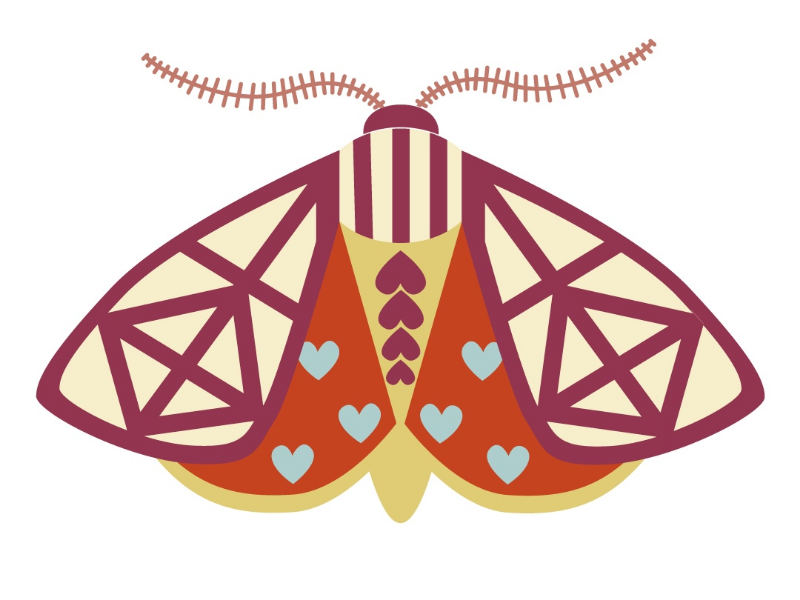 Example of Tiger moth
