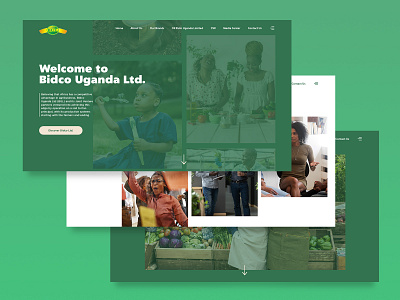 Bidco Limited design ui ui ux ui design uiux userinterface ux ux design web web design website website design