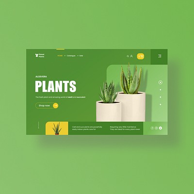 aloevera website figmadesign ui ui ux uidesign webdesign website design