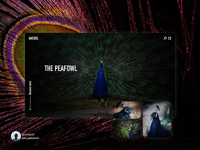 Nature website ui ui design uiux ux ux design uxdesign uxui web website