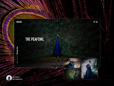 Nature website ui ui design uiux ux ux design uxdesign uxui web website