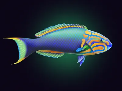 Lunare Wrasse Fish fish fishes illustraion illustration illustrator noise noise shadow series shadow vector