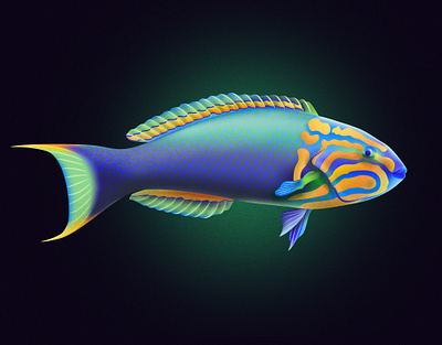 Lunare Wrasse Fish fish fishes illustraion illustration illustrator noise noise shadow series shadow vector