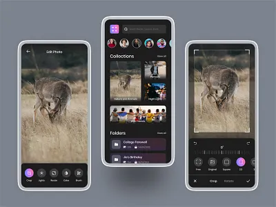 Gallery App Design app app design app development application design camera camera app edit effects gallery gallery app gallery app design gallery application image editing mobile application photo photo editor photography uidesign uiux